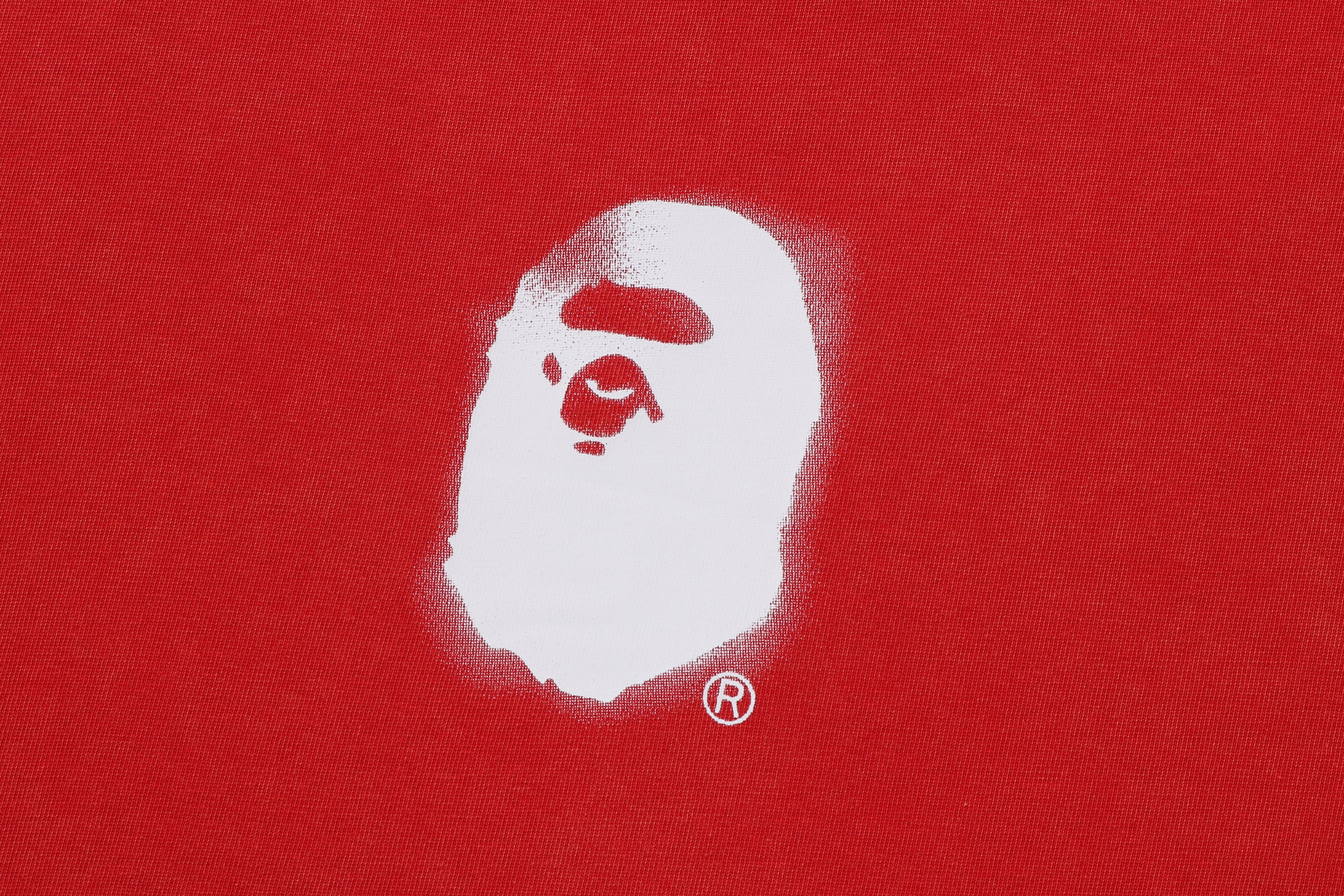 PIGMENT PRINT APE HEAD RELAXED FIT TEE - Image 11